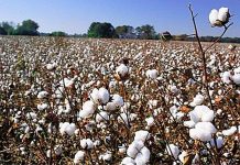 MAXAAD KA TAQAANA SUUFKA IYO SIDA LOOGA GANACSADO?