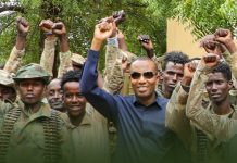 Ra’iisul wasaare Xamse oo ciidamada qalabka sida ku bogaadiyay xoreynta deegaanka Janaay Cabdalle