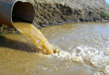 WASAQOWGA BIYAHA IYO WAXYAABAHA KEENA