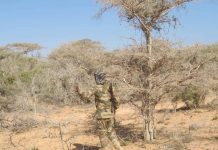 Ciidanka xoogga oo howlgal lagu sifeynayo Khawaarijta ka wada dhul ballaaran oo ka tirsan Galmudug