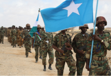 MUHIIMADDA CIIDAMADA IYO DIFAACA DALKA