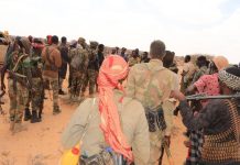 In ka badan 10 tirsan Khawaarijta oo lagu dilay deegaanka Qeycad ee Gobolka Mudug
