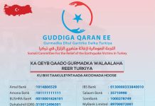Guddiga gurmadka Soomaalida ee dhul-gariirkii ka dhacay Turkiga oo Akoono shaaciyey