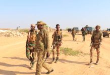 Ciidamada dowladda oo howlgal qorsheysan kula wareegay deegaanka Qeycad ayaa dilay 50 xubnood oo ka tirsan Khawaarijta