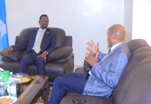 Dowladda Soomaaliya oo wada dadaal ku aadan sidii ay Soomaaliya u heli laheyd taageerada dalalka ku mideysan Ururka Iskaashiga Dhaqaalaha Africa