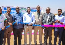 Madaxweynaha Galmudug oo xariga ka jaray Garoonka Diyaaradaha Degmada Balanbale e gobolka Galgaduud