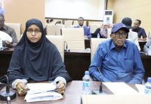 Xildhibaannada Aqalka Sare oo maanta ansixiyay Sharciga korontada Qaranka