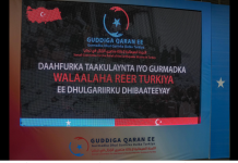 Gobolka Banaadir iyo hoggaamiyaasha bulshada oo taageero u muujiyay shacabka Turkiga