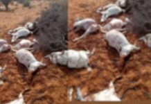 Khawaarijta iyo Sifaadkooda