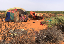 CABSI XOOGAN OO LAGA QABO ROOB LA’ AAN MAR KALE