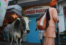 BAQIILNIMADA WAXA AY LEEDAHAY DHIBAATO BAAHSAN