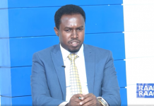Xildhibaan Xusul”Horjoogayaasha Maleeshiyaadka khawaarijta wali waxay haystaan fursad ay iskusoo dhiibi karaan”