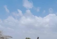 Hawlgal ay ciidanka Danab iyo kuwa Jubbaland ka fuliyeen Jubada hoose oo lagu dilay maleeshiyaad ka tirsan Khawaarijta