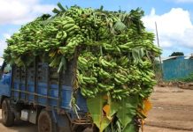 WAXSOO-SAARKA BEERAHA OO HOOS U DHAC LAGA DAREEMAY