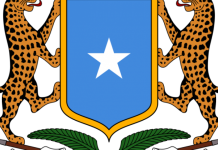 Waxqabadka Dowladda Federaalka Soomaaliya