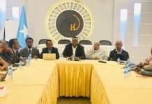 Hay’adaha dib u eegista dastuurka ee heer federaal oo maanta yeeshay kulankoodii koowaad