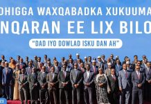 waxqabadka xukuumadda Danqaran ee lixda bilood