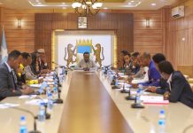 Ra’iisul wasaare ku xigeenka XFS “Xukumadda waxaa ka go’an in muwadiniinteeda ku jira xabsiyadda Adduunka in ay si nabad ah ugu soo noqdaan dalka”