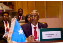 Wasiirka Arrimaha Dibadda XFS oo ka qaybgalay shirka 49-aad ee Ururka Dalalka Islaamka