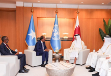 Madaxweyne xasan sheekh iyo amiir ka dowlada qatar oo yeeshay kulan miro dhal ah