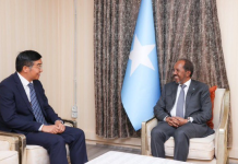 Madaxweynaha JFS oo madaxtooyada Qaranka ku qaabilay Danjiraha dalka Shiinaha