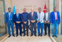 Guddoomiyaha Hay’adda Maareynta musiibooyinka oo la kulmay Safiirka Turkiga