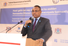 Wasiirka ganacsiga XFS oo a furay shir looga hadlayo hirgalinta hanaanka casriga ah ee diiwaangalinta ganacsiga