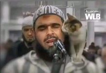 SHUMISKII UGU QIIMAHA BADNAA EE ADDUUNKA