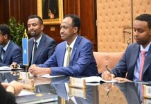 Wasiirka Amniga Gudaha XFS iyo dhiggiisa Serbia oo ka wada hadlay Xoojinta iskaashiga Amni ee ka dhaxeeya labada Dal