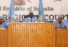 Maxkamadda gobolka Banaadir oo iibineysa Kalluun si sharci darro ah looga jillaabtay xeebaheenna