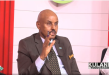 Senetor Dufle oo sheegay in uu soo bixi doono sharci lagu nidaaminaayo ka ganacsiga daawooyinka