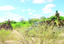 Ciidamada Xoogga dalka iyo Daraawiishta Jubbaland oo qaaday howlgal ka dhan ah Khawaarijta