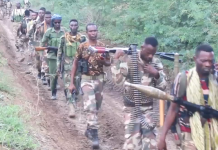 Ciidanka xoogga dalka oo howlgal ka sameeyay Shabeellada hoose