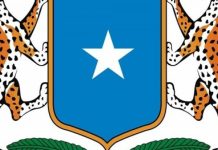 Waxqabadka Dowladda Federaalka Soomaaliya