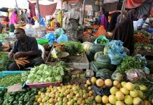 HAL ABUURKA WAX SOO SAARKA LEH