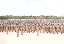 Muxuu yahay Howlgalka Cusub ee ay Dowladdu ku dhawaaqday (Warbixin)