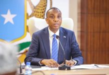 Ra’iisul wasaare Xamse oo magacaabay gudidda tira-koobka hantida qaranka