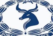 Ciidamada Booliiska oo gacanta ku soo dhigay eedeesane fakad ahaa