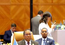 Wasiirka maaliyadda oo Sucuudiga uga qayb galay shirka wasiirrada maaliyadda jaamacadda Carabta