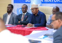 Wasiirka arrimaha gudaha oo soo xiray madasha maayarada Soomaaliya