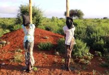 Maxkamada gobolka Baay oo xukun dil ah ku fulisay laba nin oo hore dilal u geystay