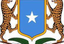 Waxqabadka Dowladda Federaalka Soomaaliya