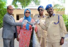 Wasaaradda deegaanka oo Kalluun ku wareejisaywasaaradda amniga