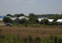 Khawaarijta Al-shabaab oo dad rayid ah ku xasuuqay Gobolka Shabeellaha Hoose