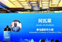 Safiirka JFS ee Dalka Shiinaha oo shir muhiim ah kaga qeyb galay Beijing