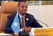 Danjire Ilyaas: Waa muhim in waddamada Carabta , kuwa gobolka iyo Caalamkuba ay iska kaashadaan ka hortagga argagixisada