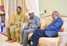 Madaxweyne Xasan Sheekh oo la kulmay xubnaha labada guddi ee dib u eegista Dastuurka