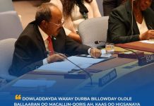 Madaxweynaha JFS oo sheegay in toban kun oo macallimiin ah lagu biirin doono nidaamka waxbarasho ee dalka