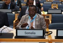 Shirka madasha Qaramada Midoobay oo ay qeyb ka aheyd DFS ayaa lagu soo gaba-gabeeyay Kenya