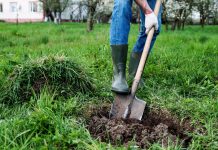 GOD SIREED HA QODIN HADDAAD QODDANA HADHEERAYN KU DHICI DOONTIDAA LAMA OGEE ( QISO YAAB LEH).